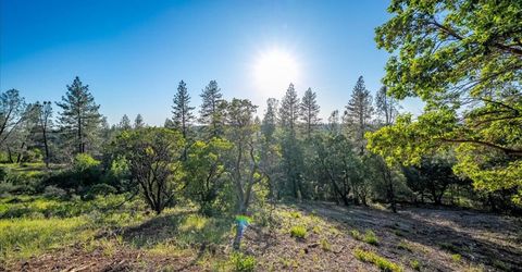 6880 Wentworth Springs Rd, Georgetown, CA 95634 Photo