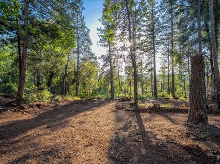 6880 Wentworth Springs Rd, Georgetown, CA 95634 Photo