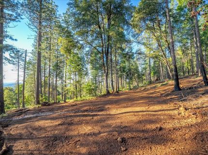 6880 Wentworth Springs Rd, Georgetown, CA 95634 Photo