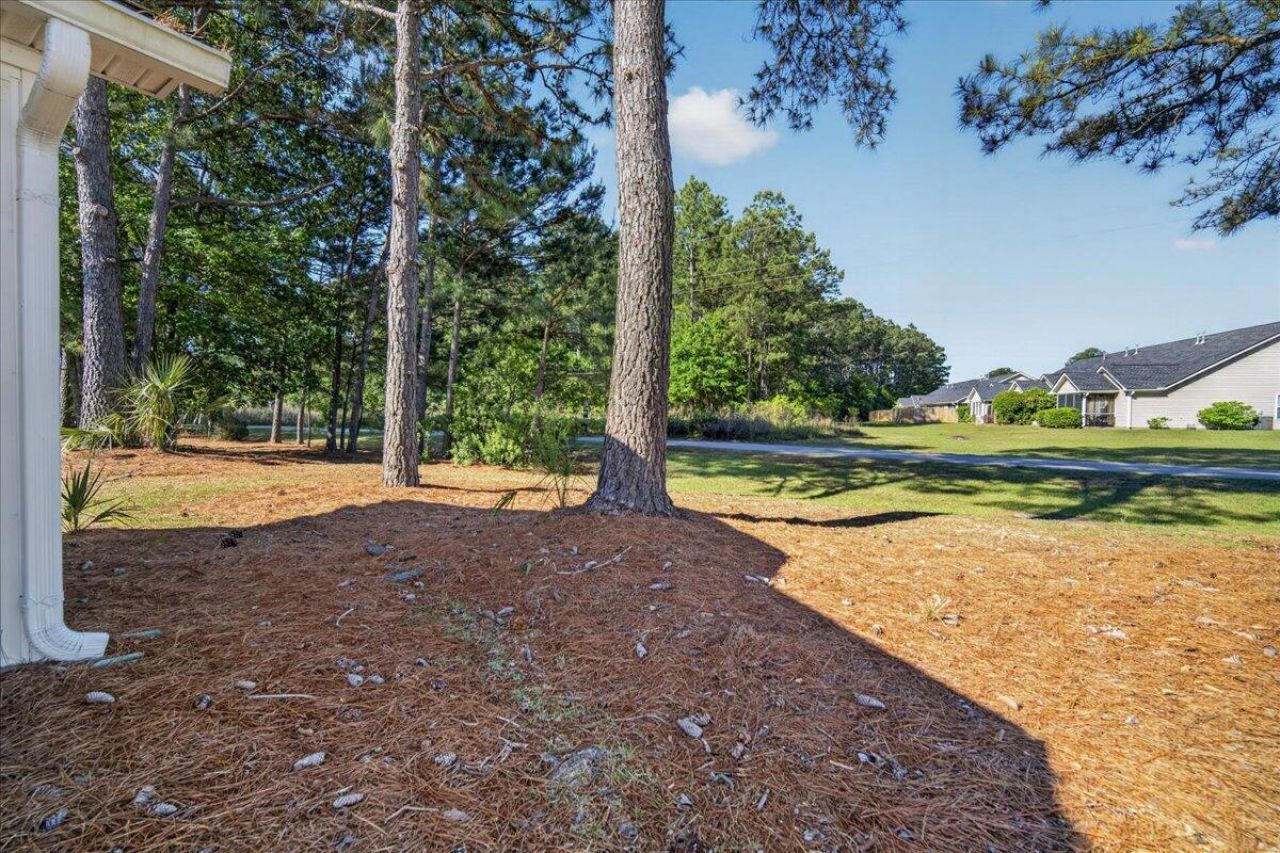 7360 Suncatcher Drive Photo 33