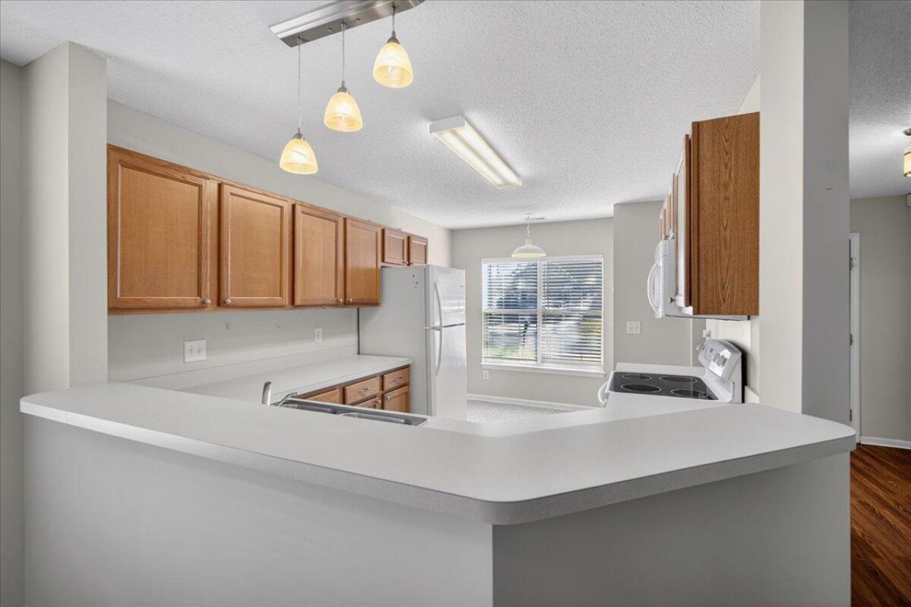7360 Suncatcher Drive Photo 9