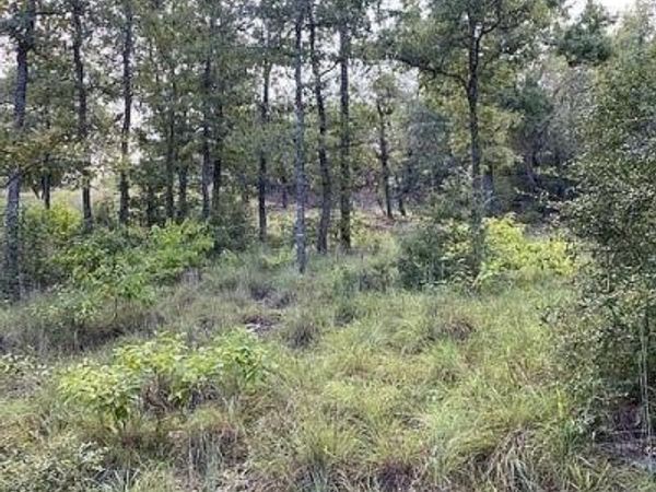 TBD Kaelepulu Dr., Bastrop, TX 78602