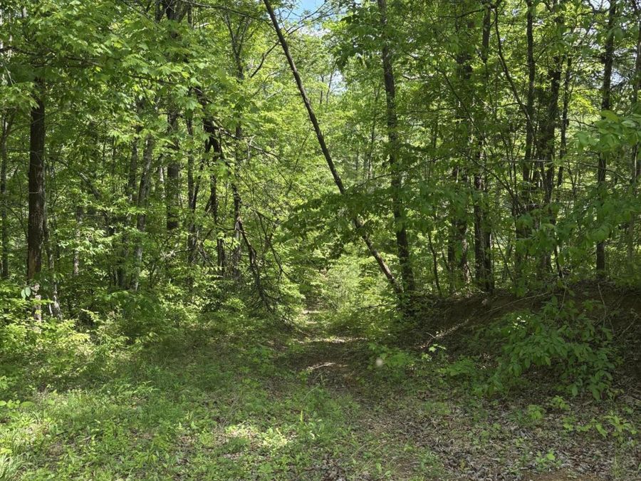 Property Image 63
