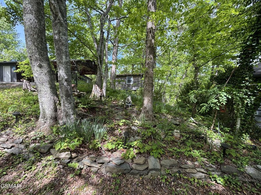 Property Image 74