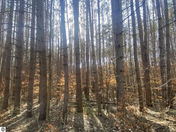 Deer Run Drive, Cadillac, MI 49601