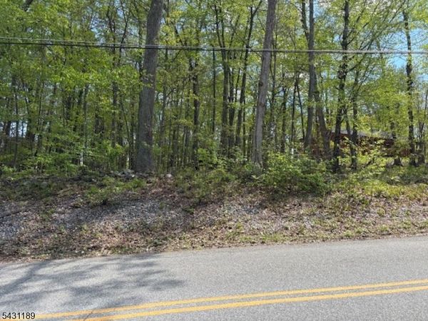 132 Mary Jones Rd, Hampton, NJ 07860