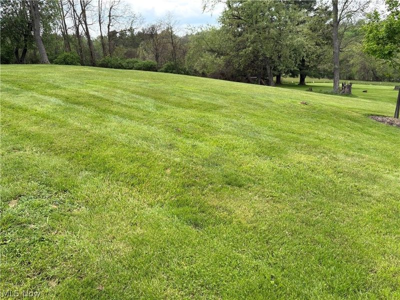 112 W College Street, Cadiz, OH 43907 Photo 31