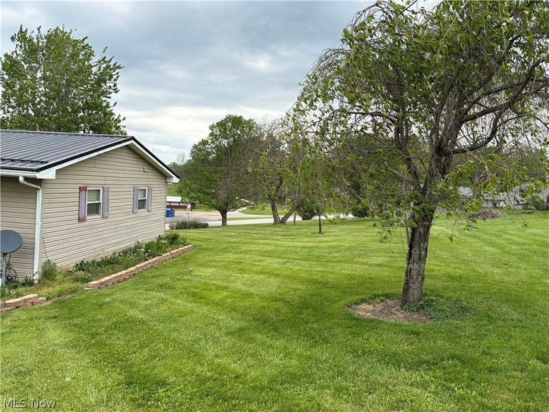 112 W College Street, Cadiz, OH 43907 Photo 32