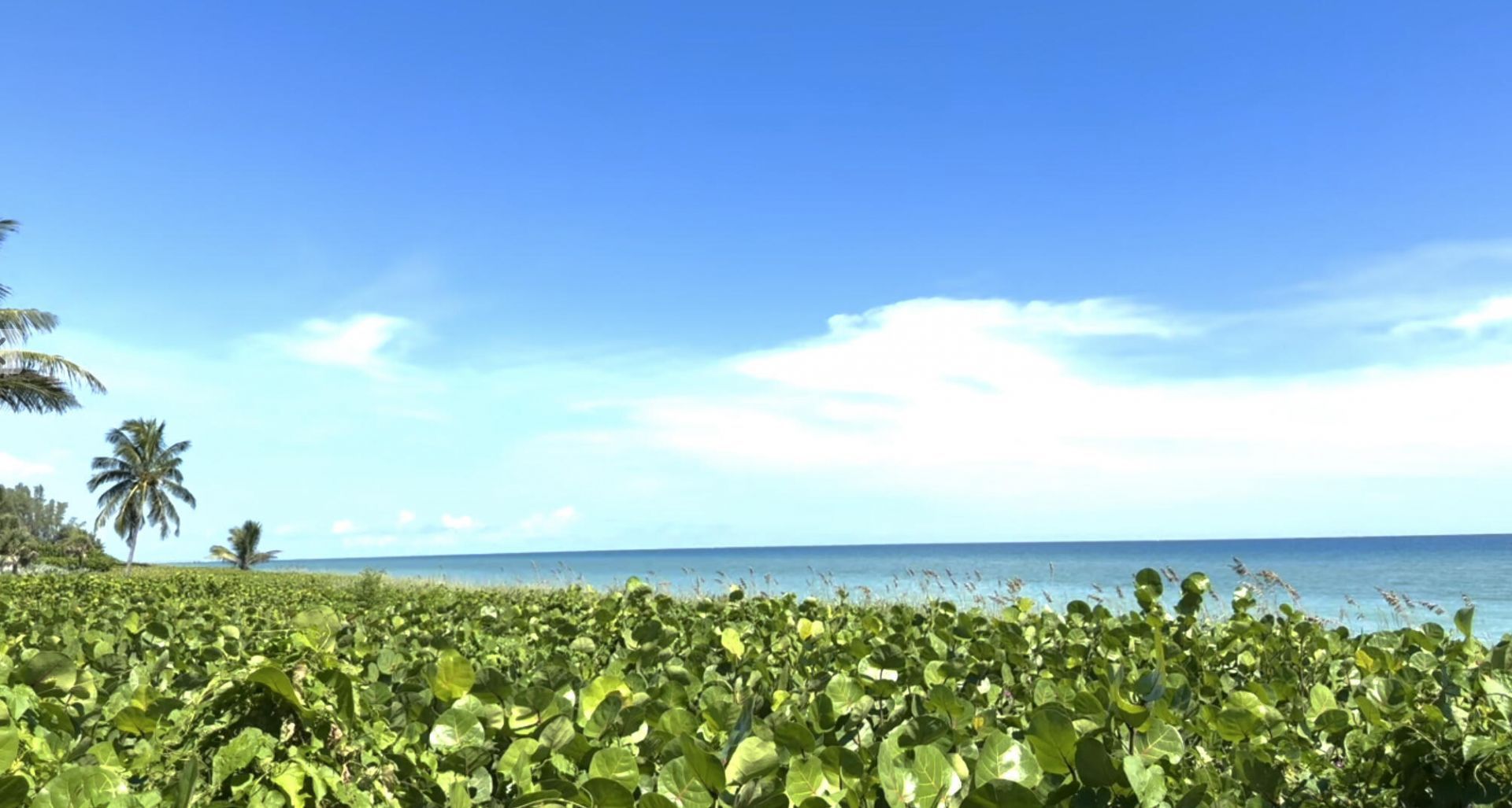 50 Celestial Way, Unit 305, Juno Beach, FL 33408 Photo