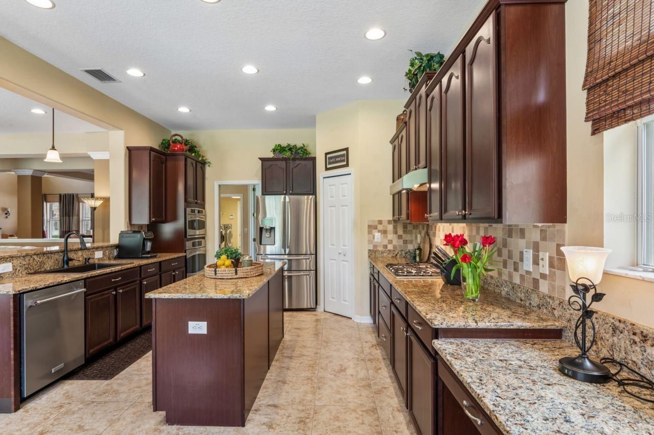8719 Creedmoor Lane , New Port Richey, FL 34654 Photo