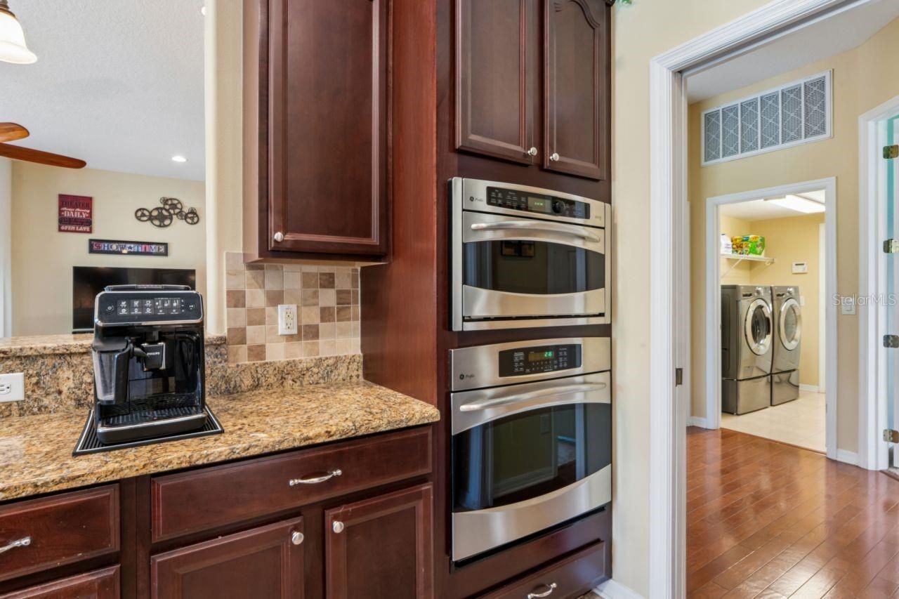 8719 Creedmoor Lane , New Port Richey, FL 34654 Photo