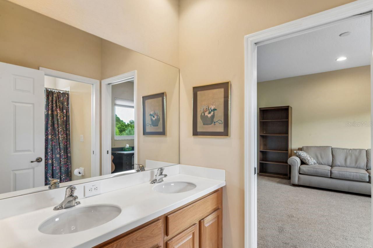 8719 Creedmoor Lane , New Port Richey, FL 34654 Photo