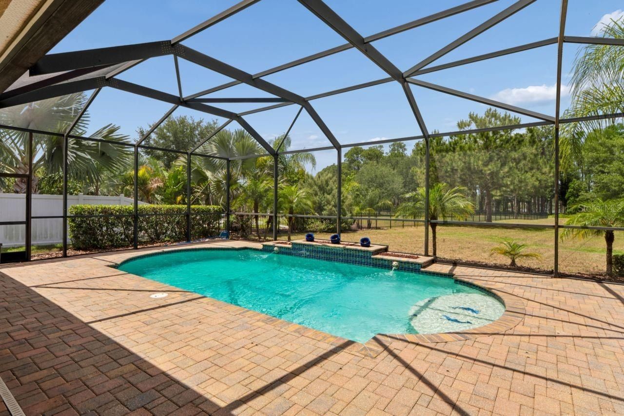 8719 Creedmoor Lane , New Port Richey, FL 34654 Photo