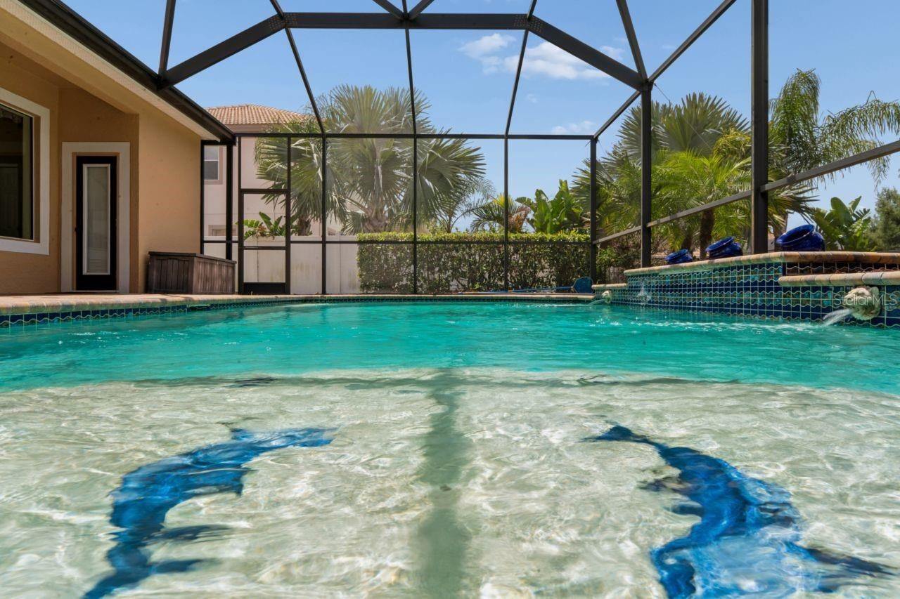 8719 Creedmoor Lane , New Port Richey, FL 34654 Photo
