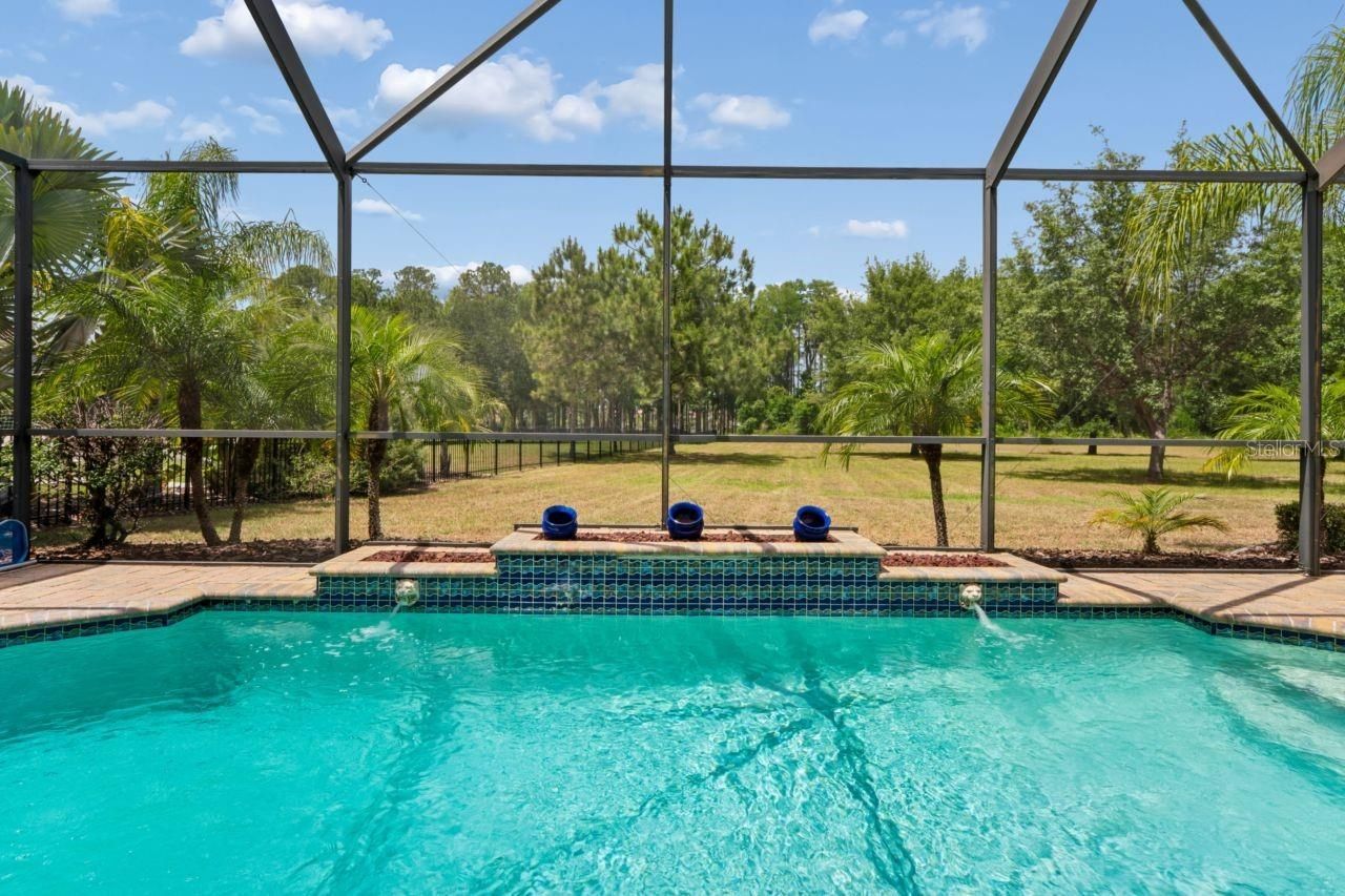 8719 Creedmoor Lane , New Port Richey, FL 34654 Photo
