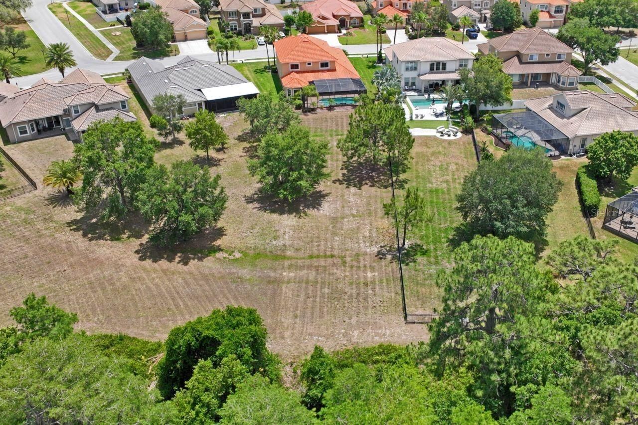 8719 Creedmoor Lane , New Port Richey, FL 34654 Photo