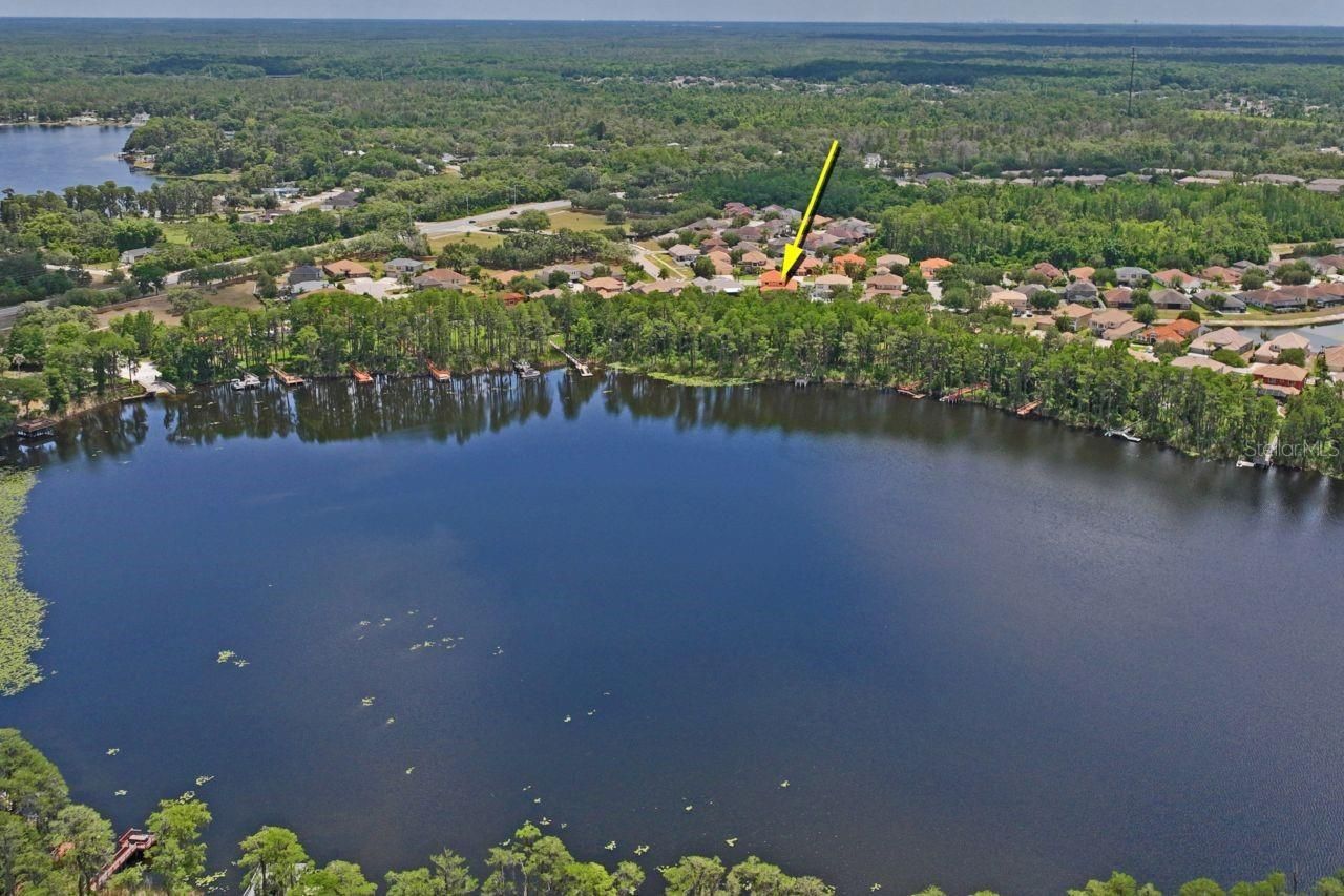 8719 Creedmoor Lane , New Port Richey, FL 34654 Photo