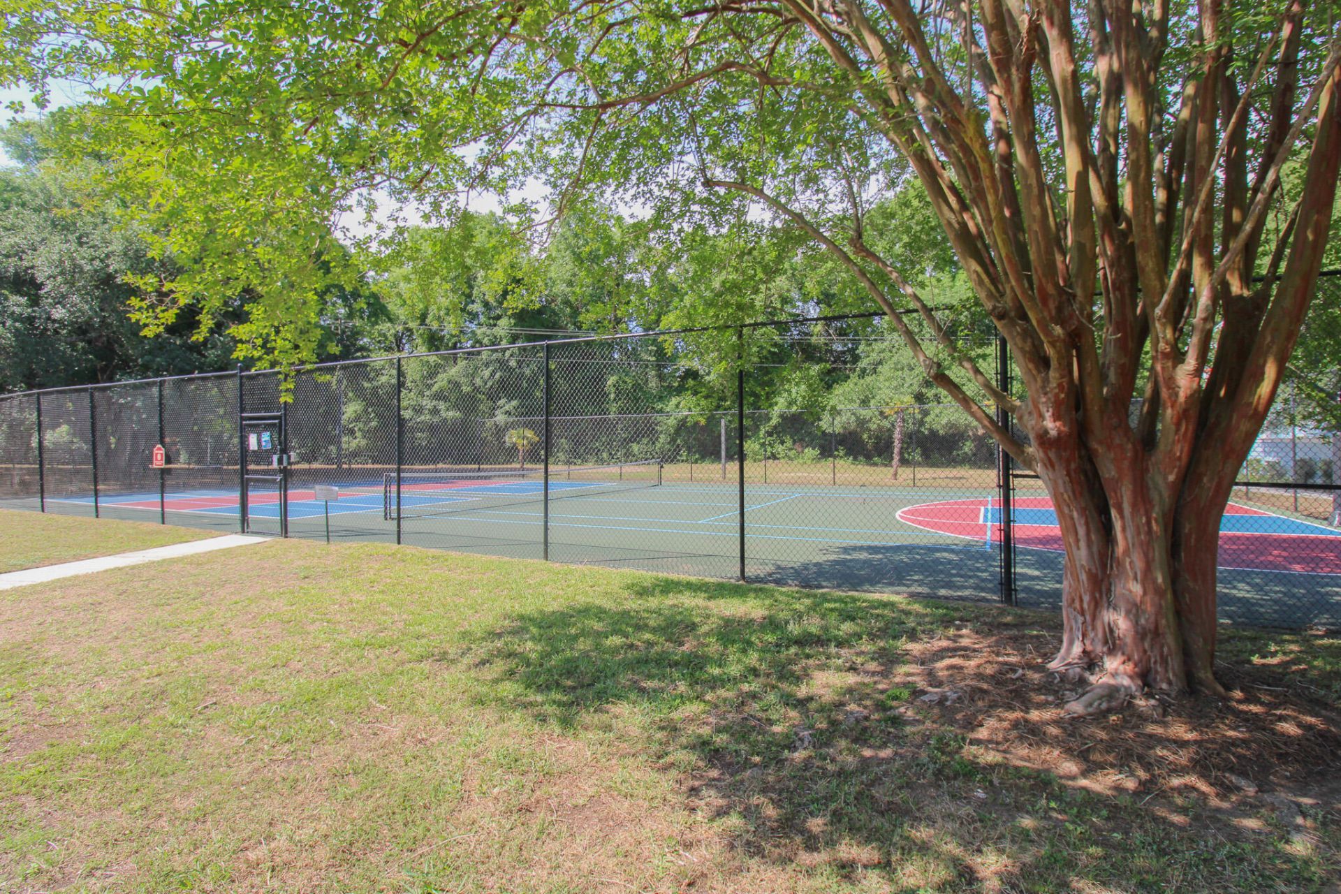 271 Alexandra Drive Photo 13