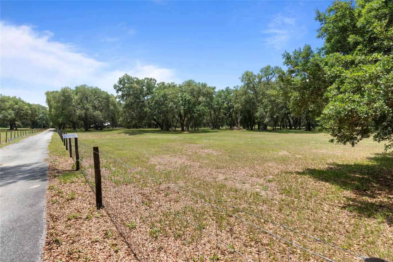 1153 Cr 722, Webster, FL 33597 Photo