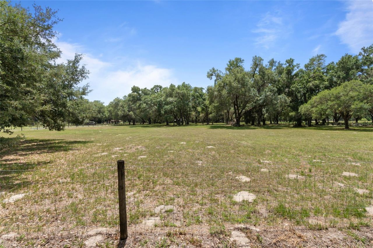1153 Cr 722, Webster, FL 33597 Photo