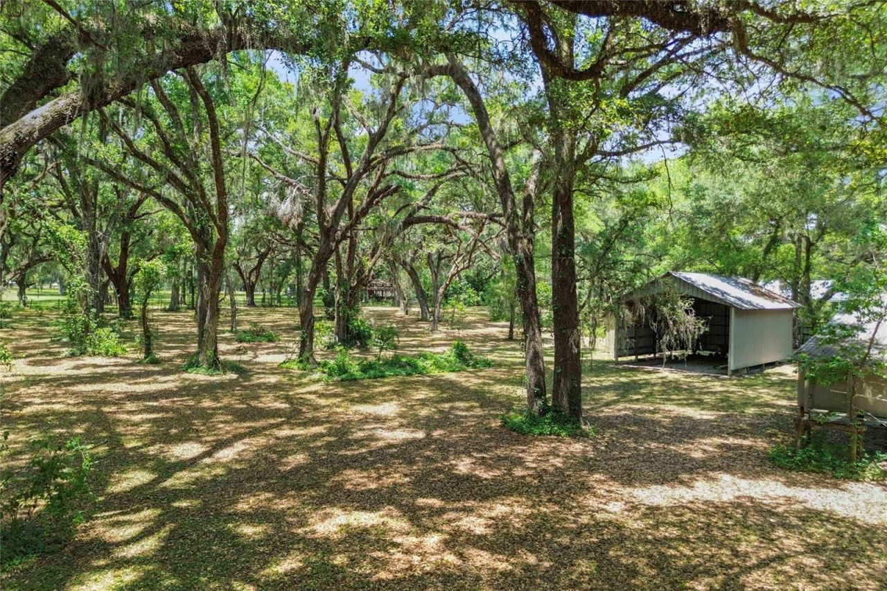 1153 Cr 722, Webster, FL 33597 Photo