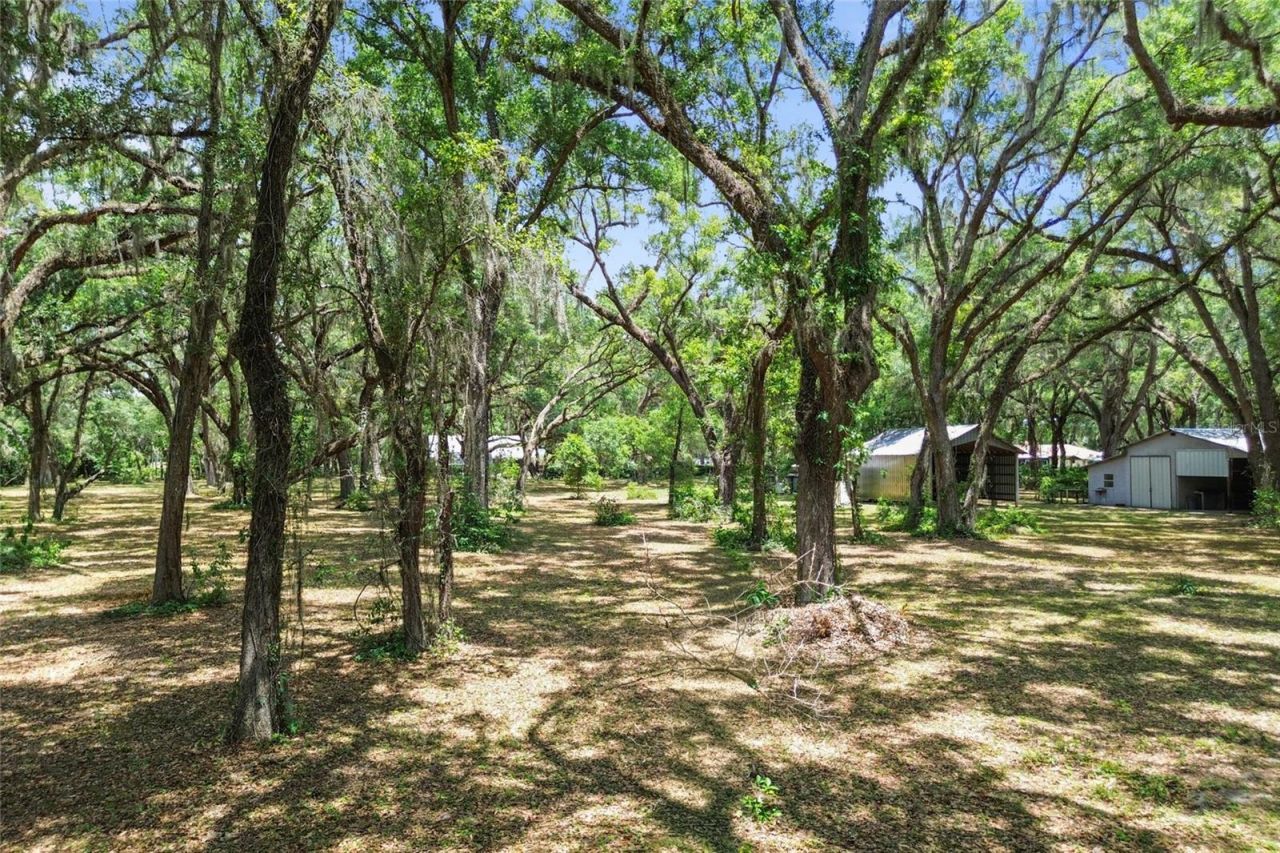 1153 Cr 722, Webster, FL 33597 Photo
