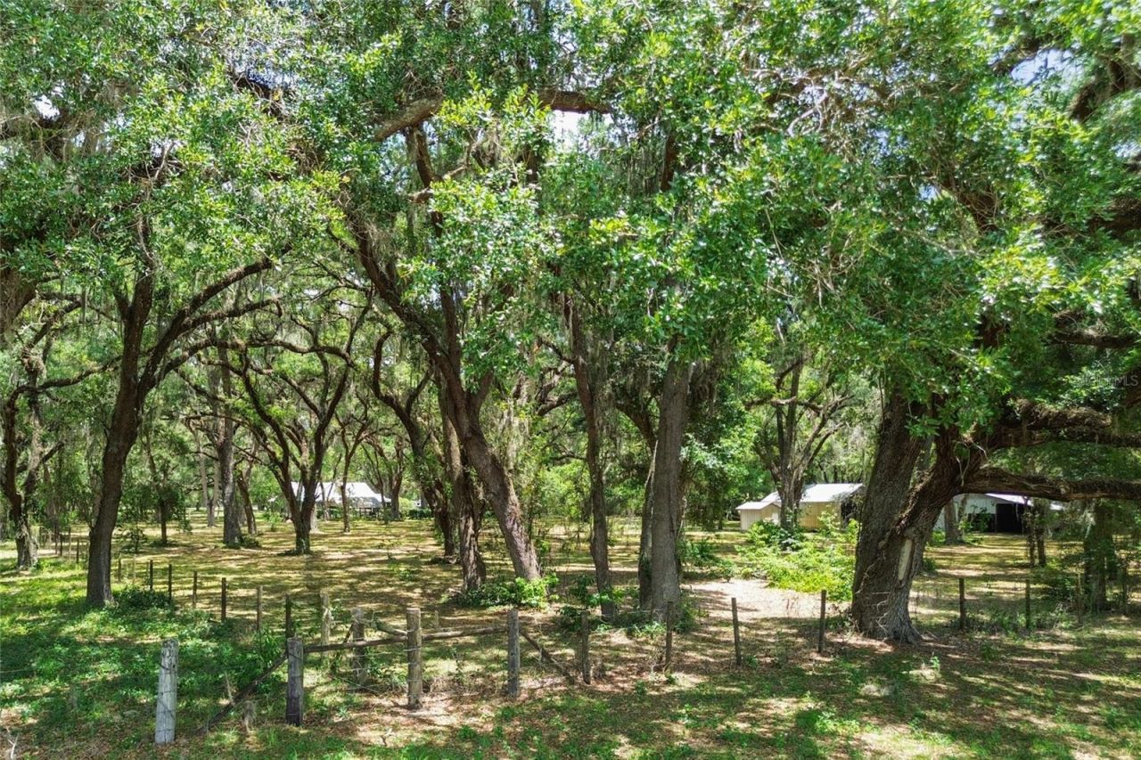 1153 Cr 722, Webster, FL 33597 Photo
