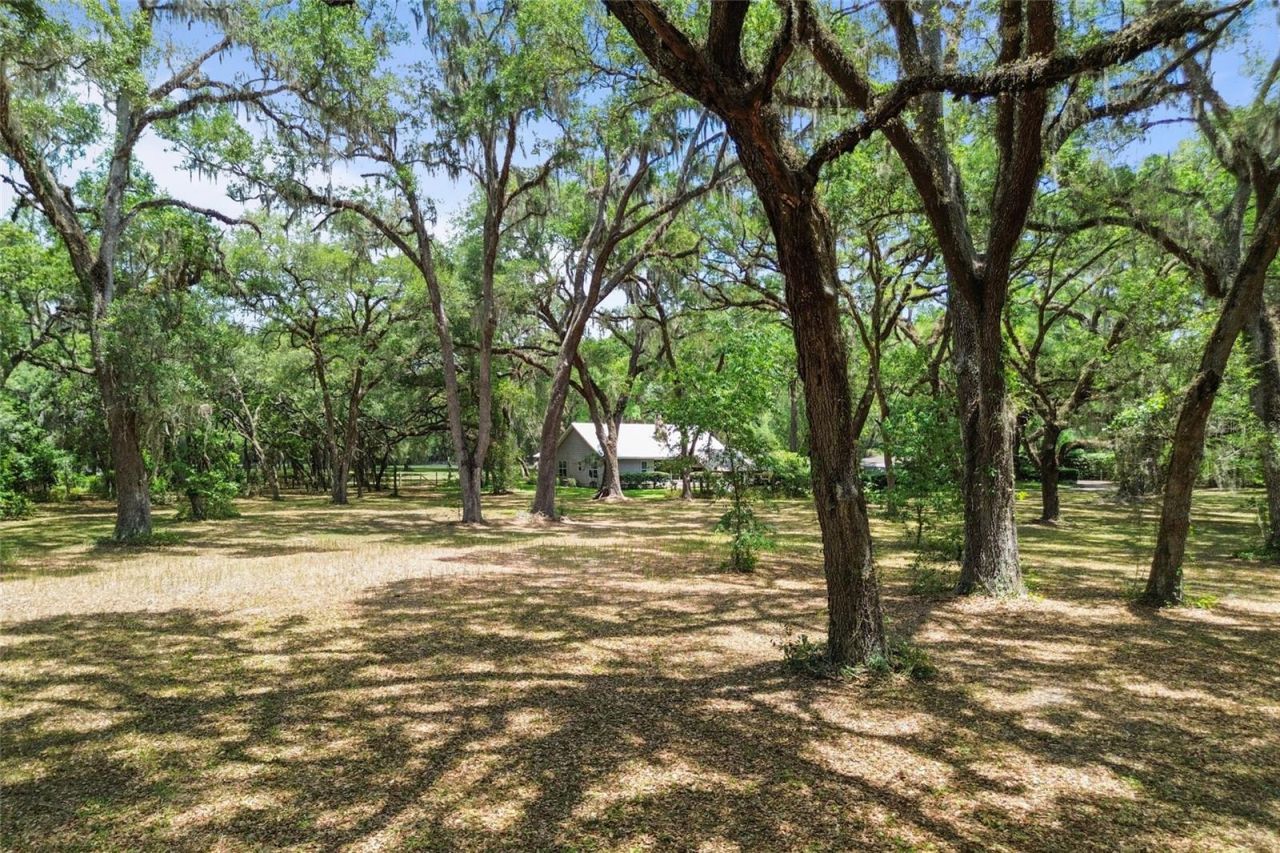 1153 Cr 722, Webster, FL 33597 Photo