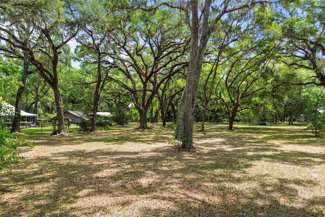 1153 Cr 722, Webster, FL 33597 Photo