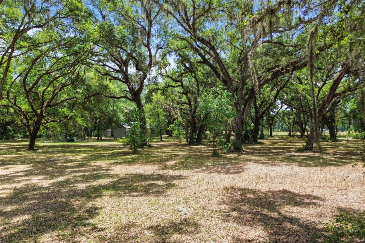 1153 Cr 722, Webster, FL 33597 Photo