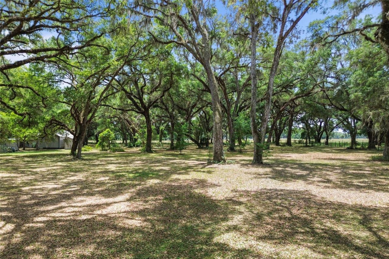 1153 Cr 722, Webster, FL 33597 Photo