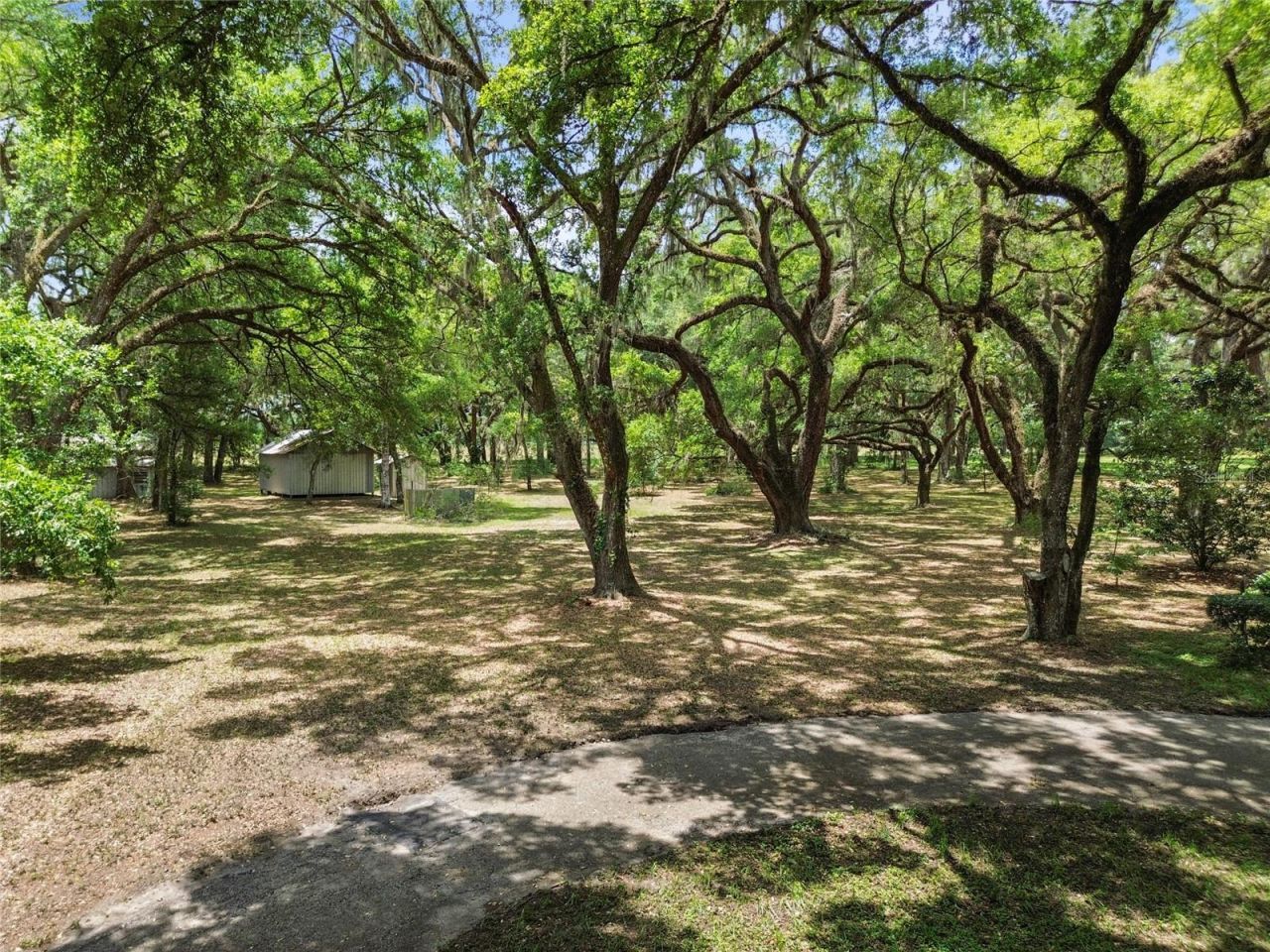 1153 Cr 722, Webster, FL 33597 Photo