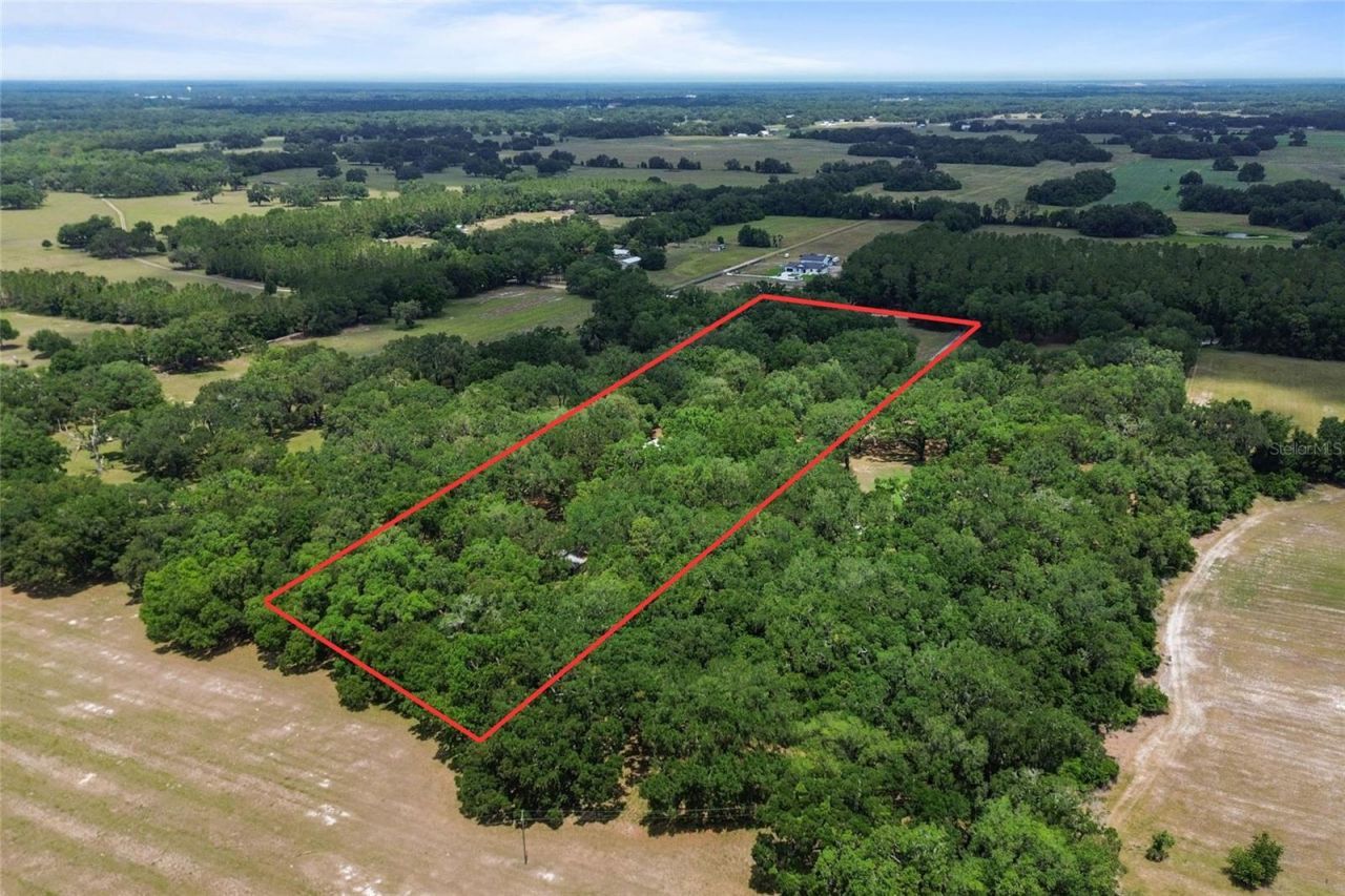 1153 Cr 722, Webster, FL 33597 Photo