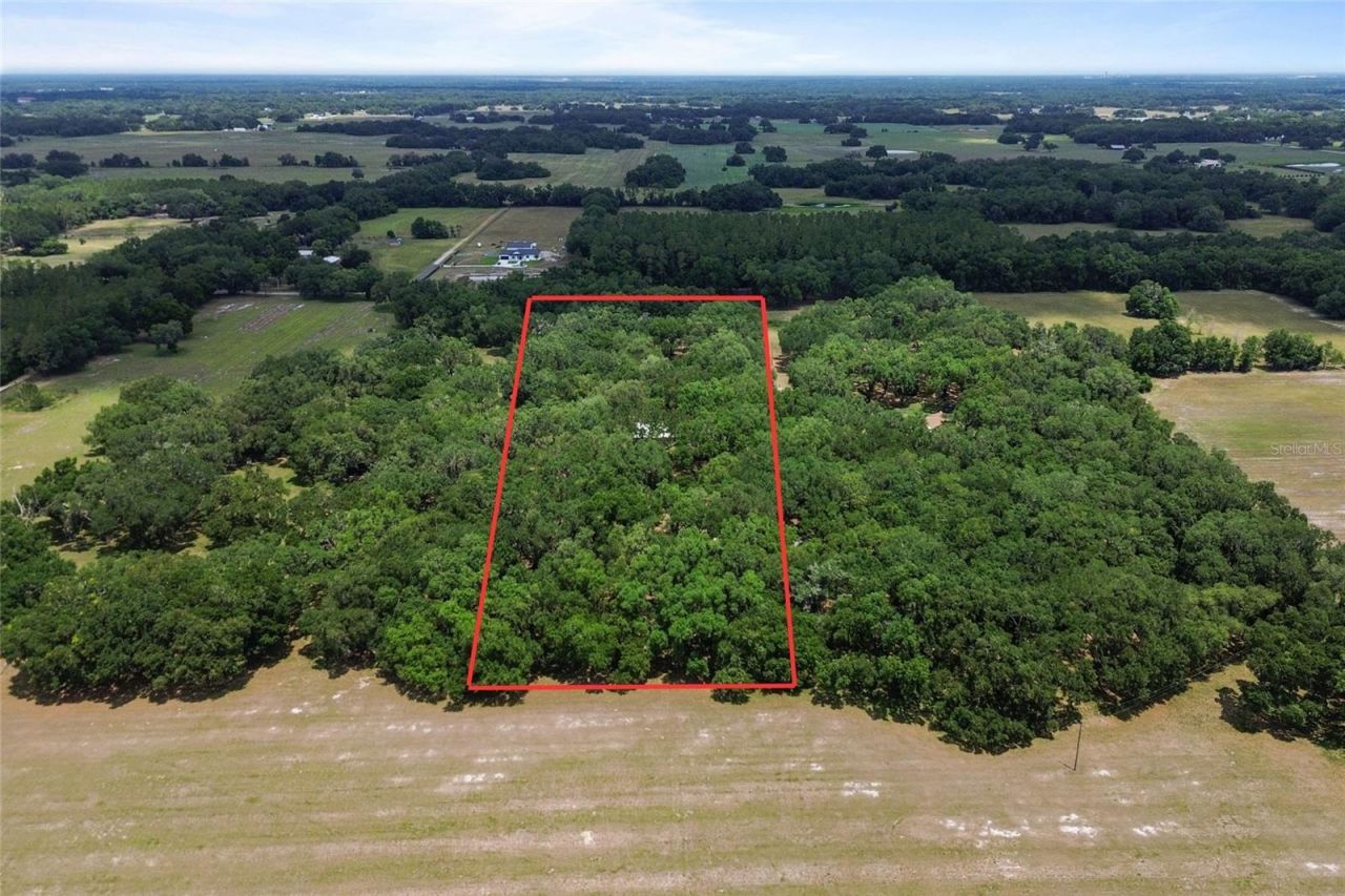 1153 Cr 722, Webster, FL 33597 Photo