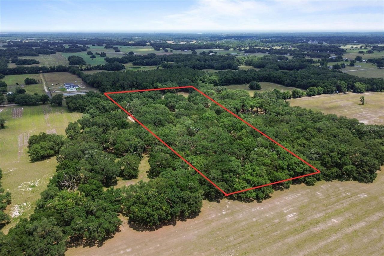 1153 Cr 722, Webster, FL 33597 Photo