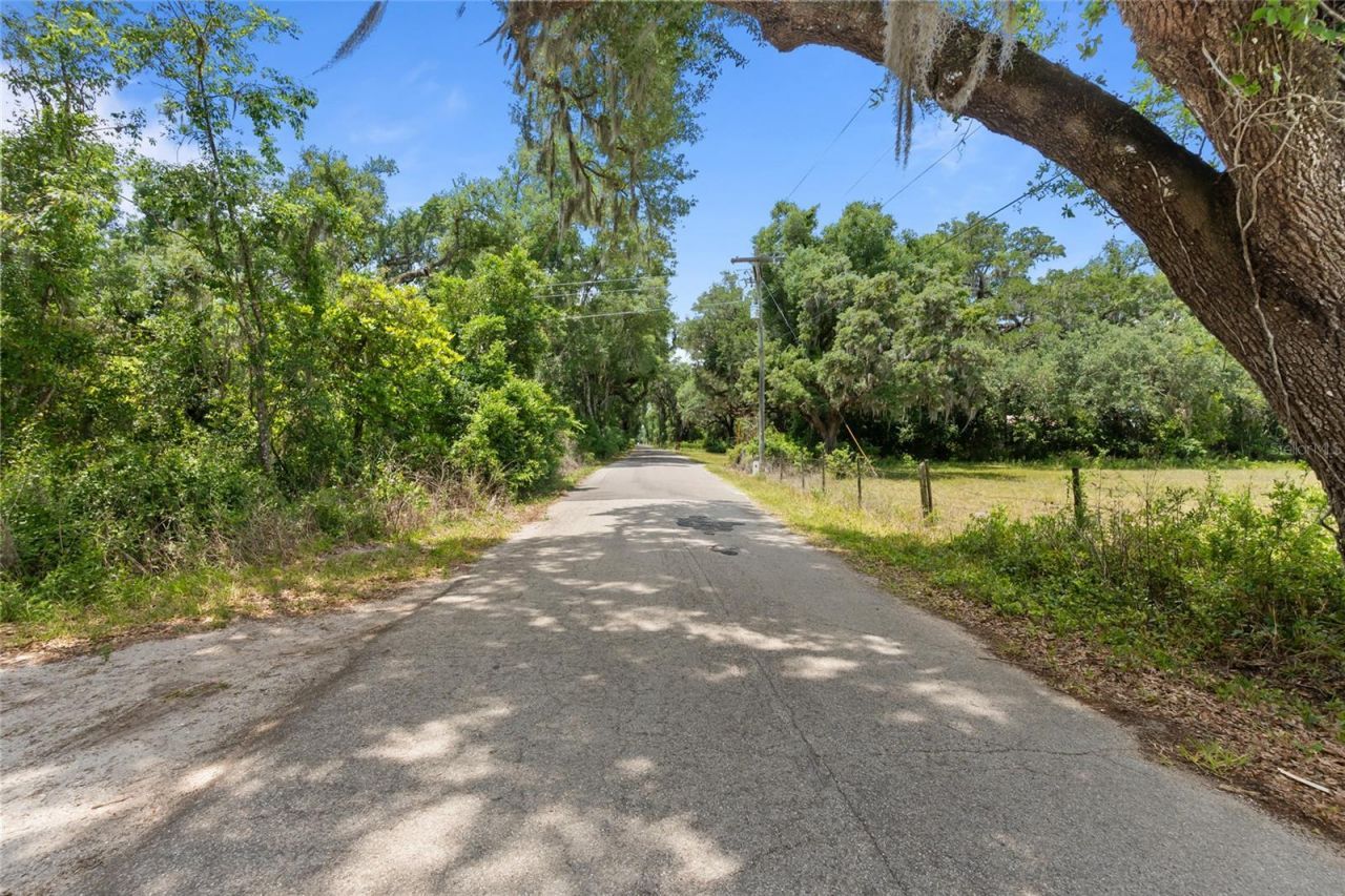 1153 Cr 722, Webster, FL 33597 Photo