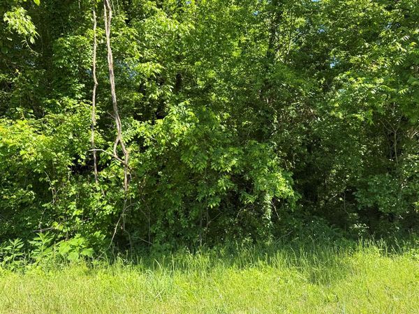 9601 Boatman Road , Smiths Grove, KY 42171