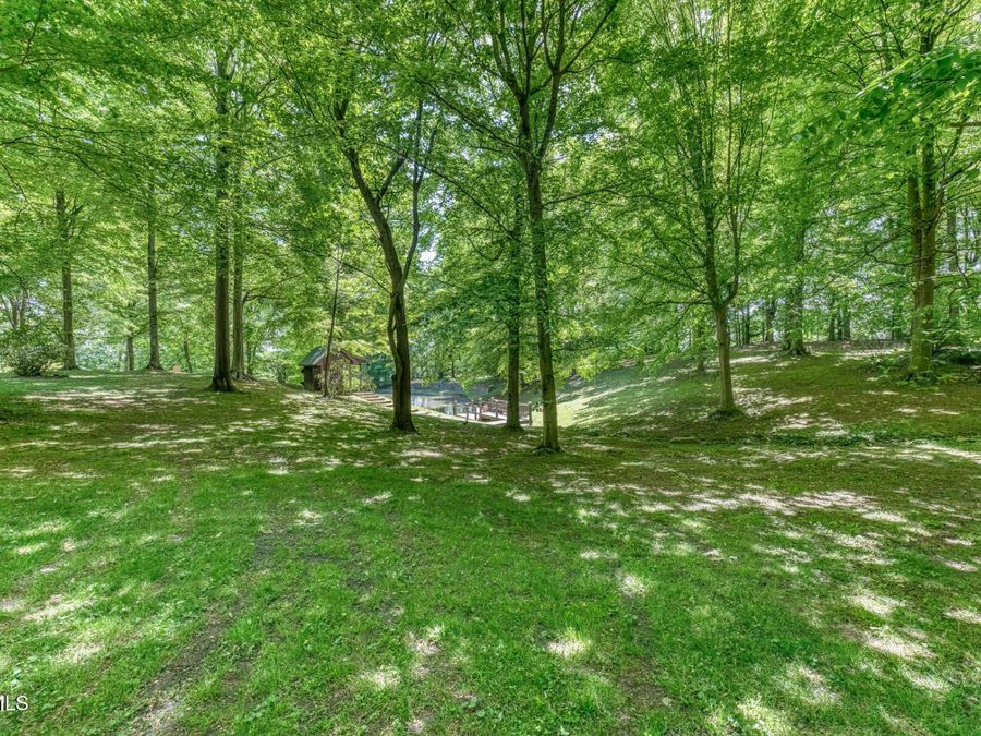 Property Image 115