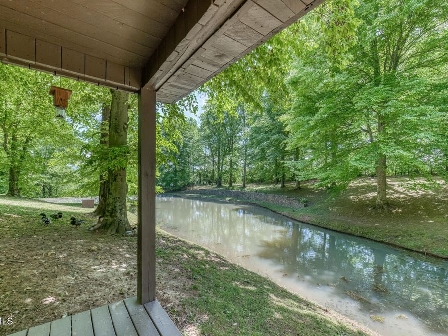 Property Image 117
