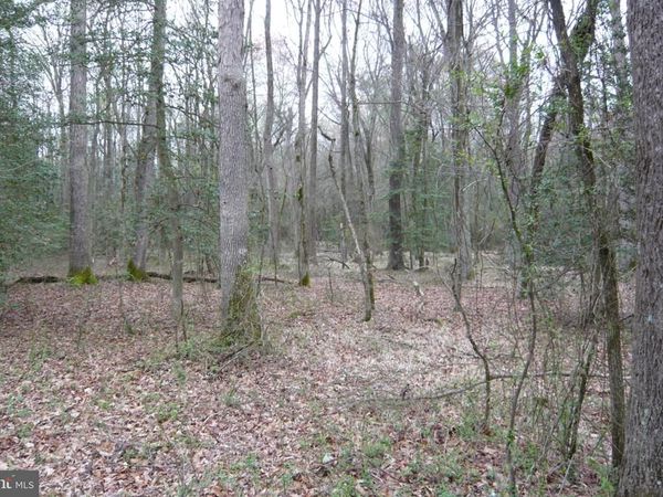 0 TRUNK ROAD , HENDERSON, MD 21640