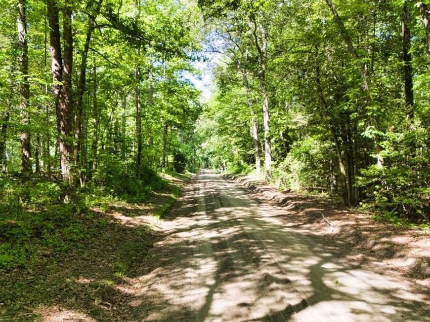 0 Trunk Road , Henderson, MD 21640 Main Photo