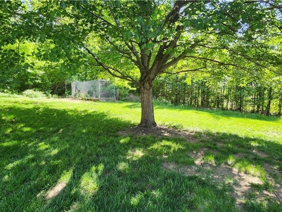Property Image 61