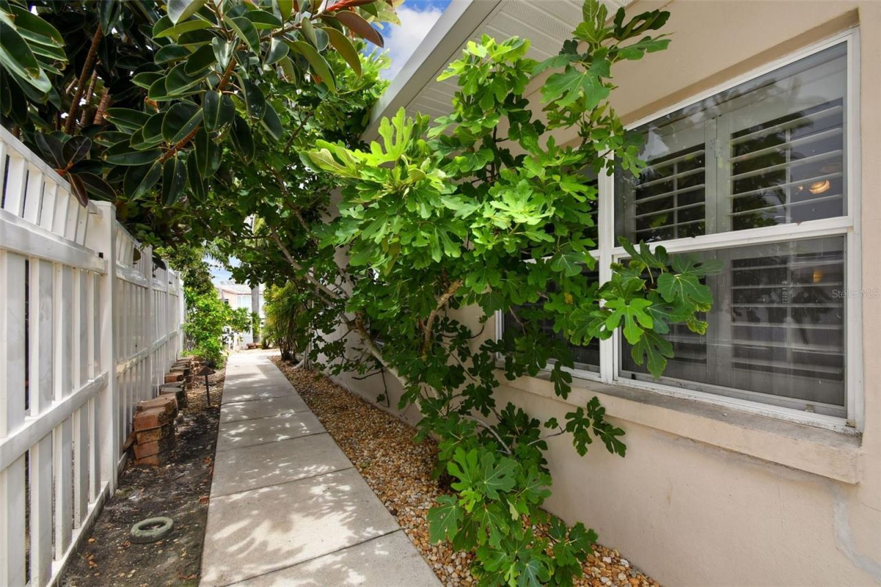 3921 E Eden Roc Circle, Tampa, FL 33634 Photo