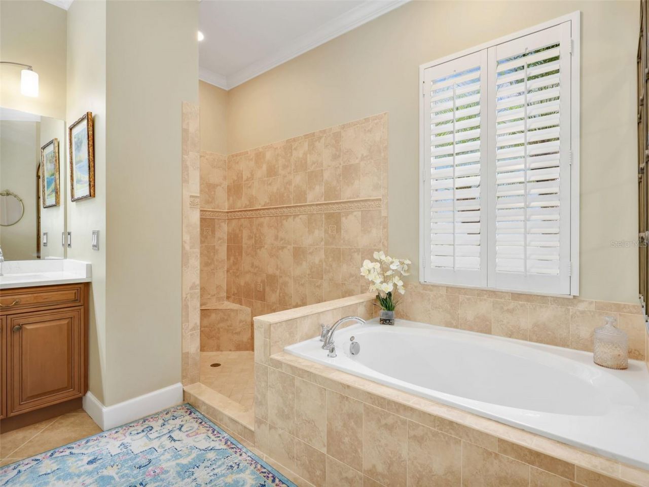 10323 Wishing Stone Court , Bonita Springs, FL 34135 Photo