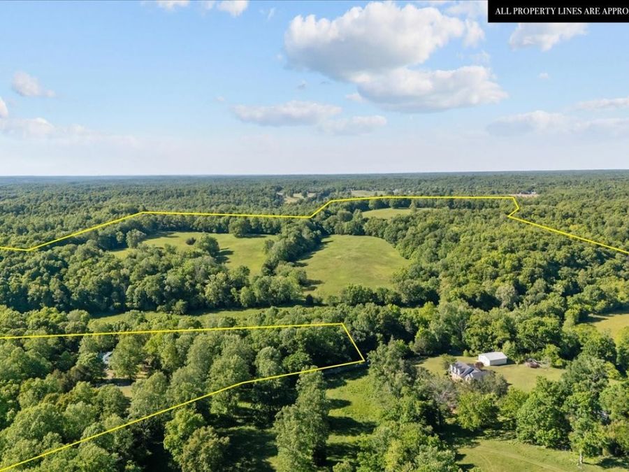Property Image 74