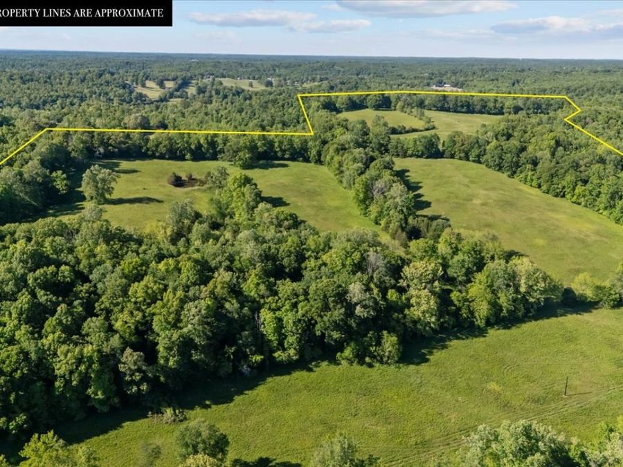 Property Image 76