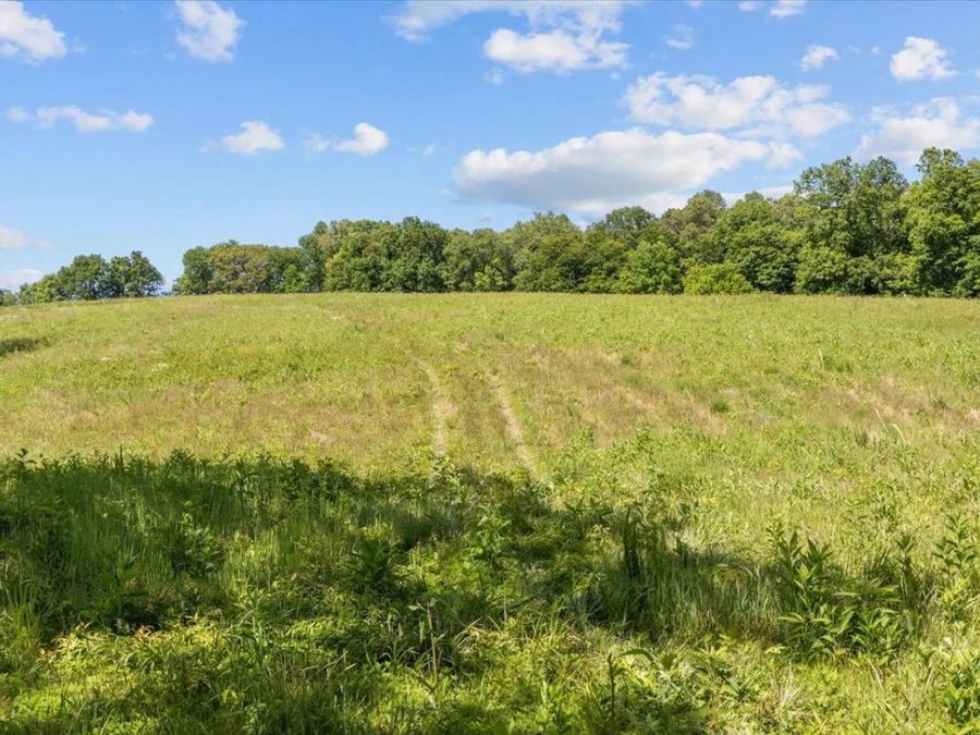 Property Image 96