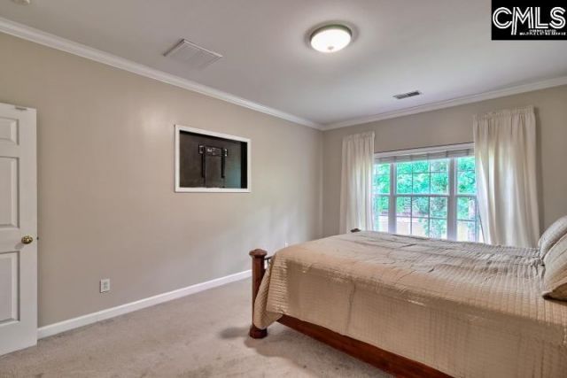 234 Winterberry Loop Photo 23