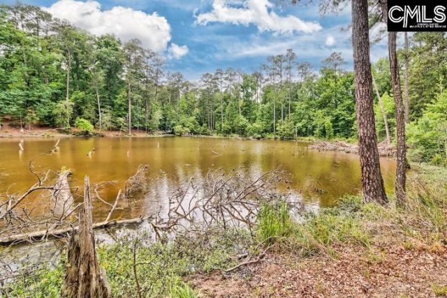 234 Winterberry Loop Photo 38