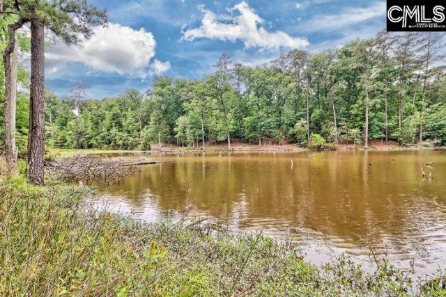 234 Winterberry Loop Photo 41